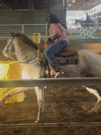 HorseID: 2317561 Apache - PhotoID: 1104374