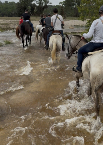 HorseID: 2317561 Apache - PhotoID: 1104375