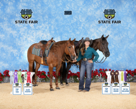 HorseID: 2317614 Colonels Rippinitup - PhotoID: 1104439