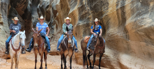 HorseID: 2317614 Colonels Rippinitup - PhotoID: 1104440
