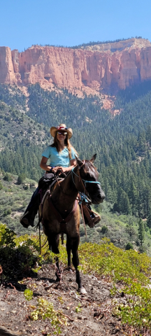 HorseID: 2317614 Colonels Rippinitup - PhotoID: 1104441