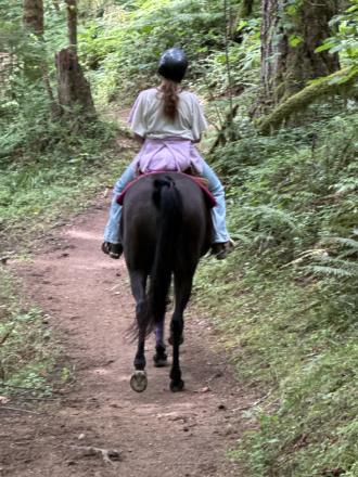 HorseID: 2317638 A Mystic Melody - PhotoID: 1104473