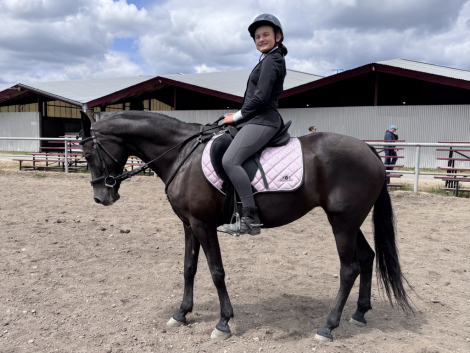 HorseID: 2317638 A Mystic Melody - PhotoID: 1104474