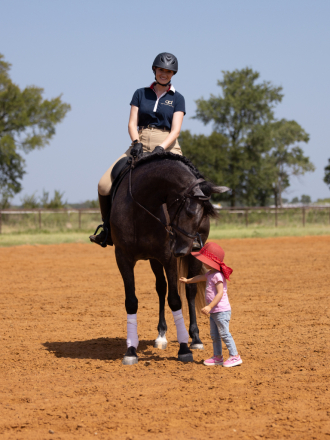 HorseID: 2317678 Artemisa - PhotoID: 1104509