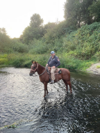 HorseID: 2317688 Jim - PhotoID: 1104514