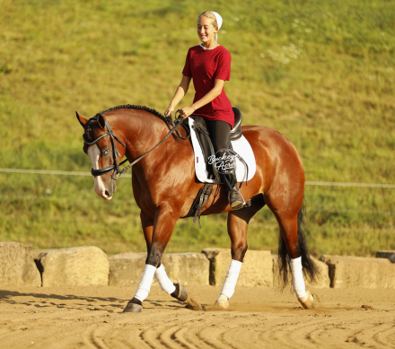 HorseID: 2317690 Jay Lo Nite - PhotoID: 1104526