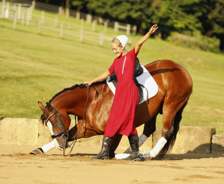 HorseID: 2317690 Jay Lo Nite - PhotoID: 1104529