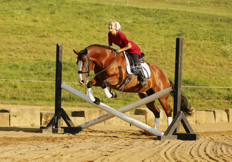HorseID: 2317690 Jay Lo Nite - PhotoID: 1104530