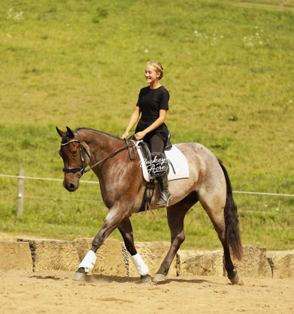 HorseID: 2317691 JJ Rowdy Poco Furlo - PhotoID: 1104521