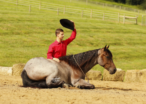 HorseID: 2317691 JJ Rowdy Poco Furlo - PhotoID: 1104522