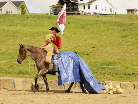HorseID: 2317691 JJ Rowdy Poco Furlo - PhotoID: 1104523
