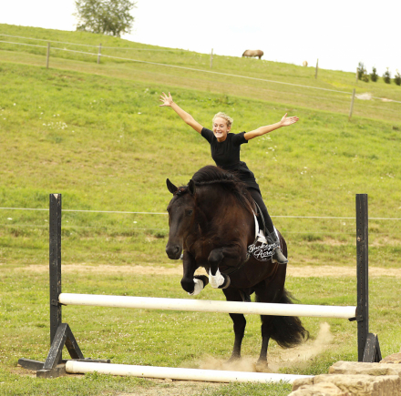 HorseID: 2317692 Logos Dan - PhotoID: 1104533