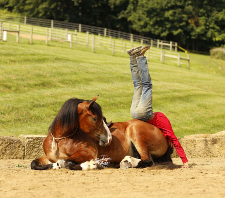 HorseID: 2317694 Buckeyes Waylon - PhotoID: 1104539