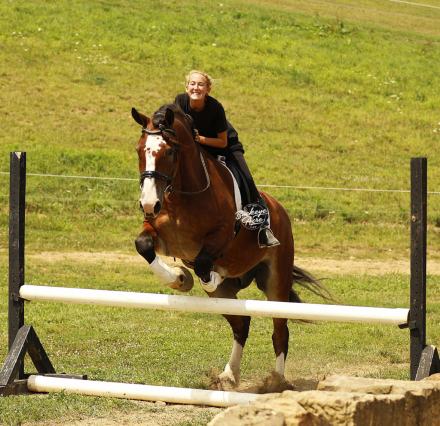 HorseID: 2317694 Buckeyes Waylon - PhotoID: 1104541