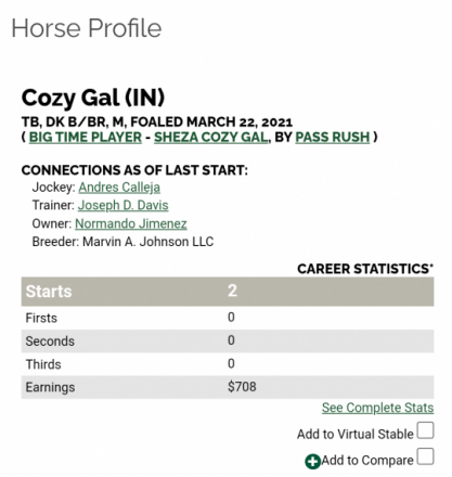 HorseID: 2317707 Cozy Gal - PhotoID: 1104562