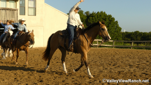 HorseID: 2317769 Mack - PhotoID: 1104618