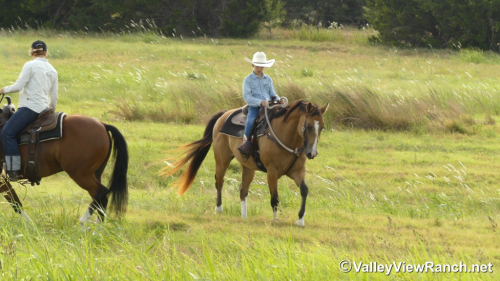 HorseID: 2317769 Mack - PhotoID: 1104619
