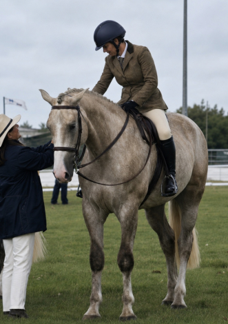 HorseID: 2317776 Prince William - PhotoID: 1104628