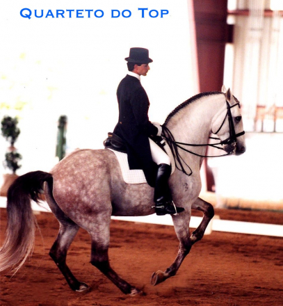 HorseID: 2317792 Xerife - PhotoID: 1104655