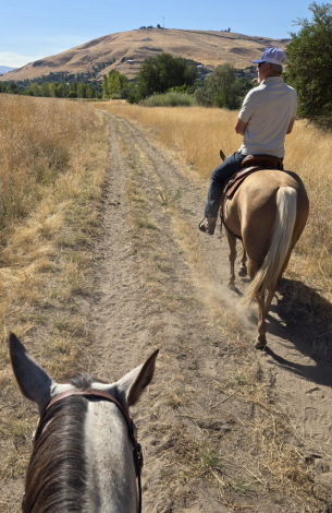 HorseID: 2317799 Boons Highbrowd Lady - PhotoID: 1104668