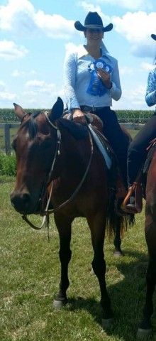 HorseID: 2317831 BMQ Sweettalkinhotty - PhotoID: 1104708