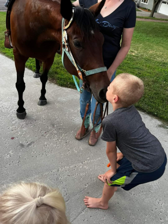 HorseID: 2317831 BMQ Sweettalkinhotty - PhotoID: 1104710