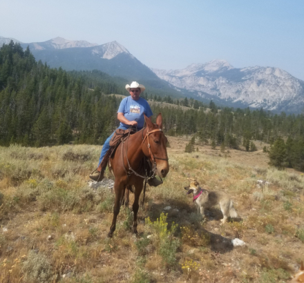 HorseID: 2317833 Chuck - PhotoID: 1104722