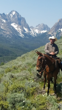 HorseID: 2317833 Chuck - PhotoID: 1104723