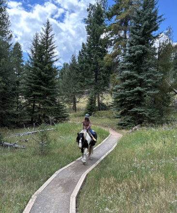 HorseID: 2317834 RNR Grady's Grand Chief - PhotoID: 1104725