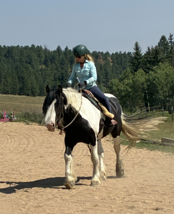 HorseID: 2317834 RNR Grady's Grand Chief - PhotoID: 1104726