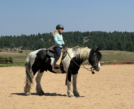 HorseID: 2317834 RNR Grady's Grand Chief - PhotoID: 1104727