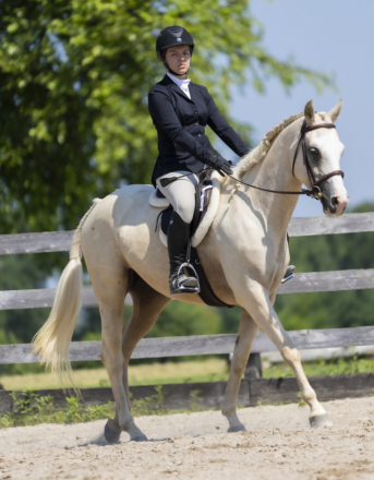 HorseID: 2317877 Tictac - PhotoID: 1104775