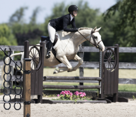 HorseID: 2317877 Tictac - PhotoID: 1104776