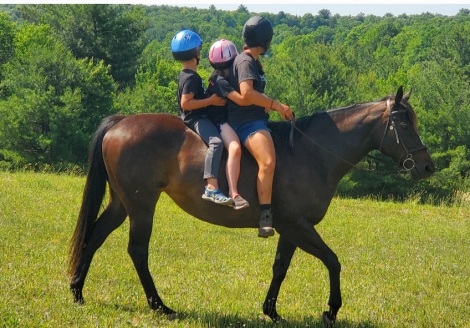 HorseID: 2317904 Go kitty Go - PhotoID: 1104810