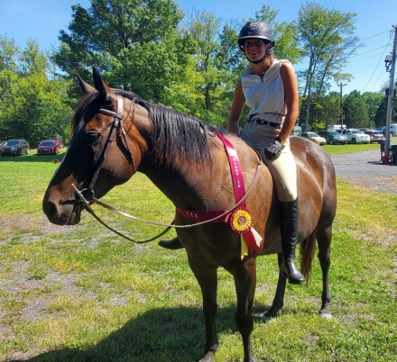 HorseID: 2317904 Go kitty Go - PhotoID: 1104811