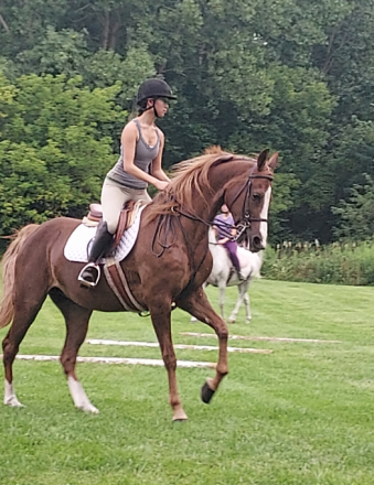 HorseID: 2317931 Charmed Diva - PhotoID: 1104849