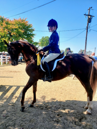 HorseID: 2317931 Charmed Diva - PhotoID: 1104850