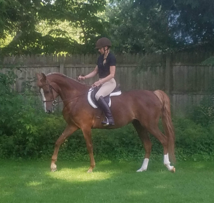 HorseID: 2317931 Charmed Diva - PhotoID: 1104851