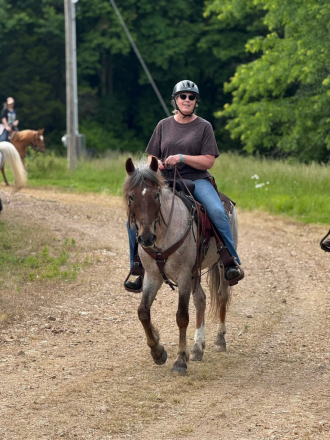 HorseID: 2317934 Rojo - PhotoID: 1104847