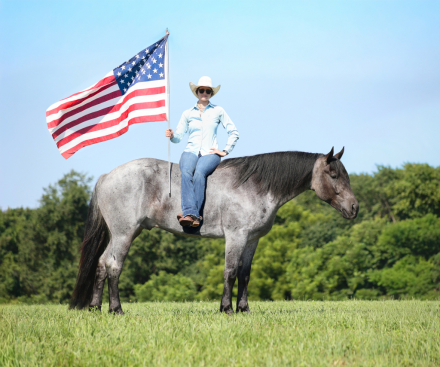HorseID: 2317945 Rio- Consigned to Best Of The West September 25-26 - PhotoID: 1104876