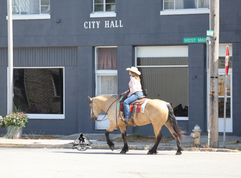 HorseID: 2317948 Sundance- Consigned to Best Of The West Sep. 25-26 - PhotoID: 1104883