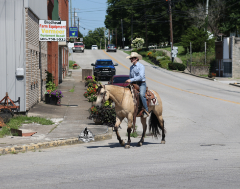 HorseID: 2317949 Mike’s Poco Whiz- Consigned to Best Of The West - PhotoID: 1104870
