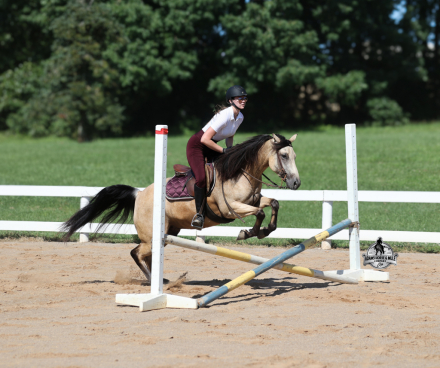 HorseID: 2317949 Mike’s Poco Whiz- Consigned to Best Of The West - PhotoID: 1104871
