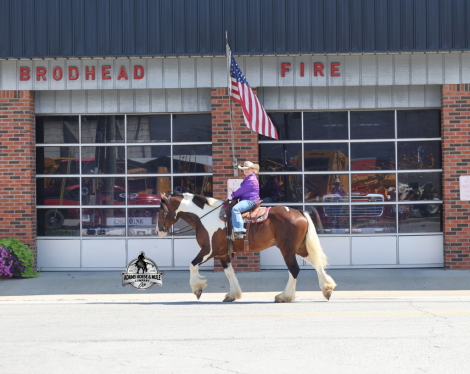 HorseID: 2317951 Chantz- Consigned to Best Of The West Sep. 25-26 - PhotoID: 1104858