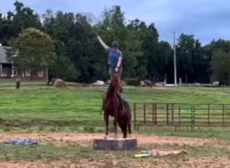 HorseID: 2317961 Smokin on 420 - PhotoID: 1104909