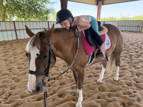 HorseID: 2317964 Perfect Pony Precious - PhotoID: 1104918