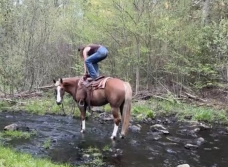 HorseID: 2317964 Perfect Pony Precious - PhotoID: 1104920
