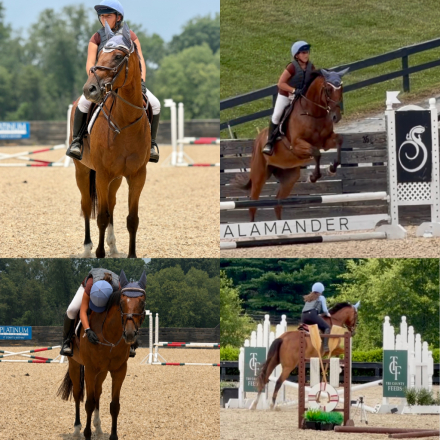 HorseID: 2317992 Whiskey Mischief - PhotoID: 1104956