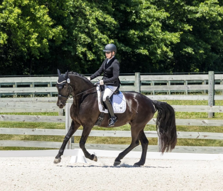 HorseID: 2318002 Daiyu SCS - PhotoID: 1104964