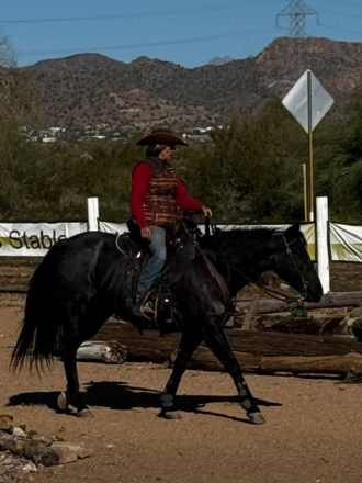 HorseID: 2318005 One Roan Dulce 101 - PhotoID: 1104977